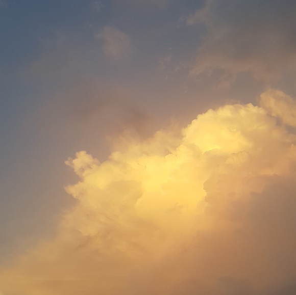 Meet your Posher, Jeanette - Picture 1 of 1